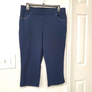 Navy Capri Pants